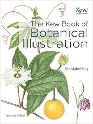 Bitki ve Botanik Tutkunları İçin Kitap Önerileri￼