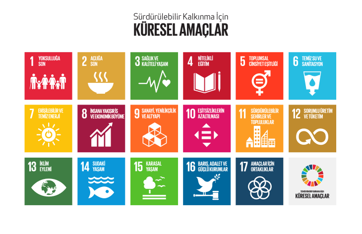 17 Logo, Tek Dünya: Sürdürülebilir Kalkınma Amaçları